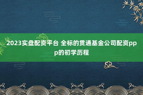 2023实盘配资平台 全标的贯通基金公司配资ppp的初学历程